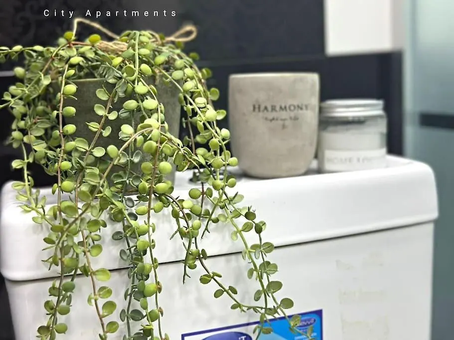 Grey Suite Apartment バクー