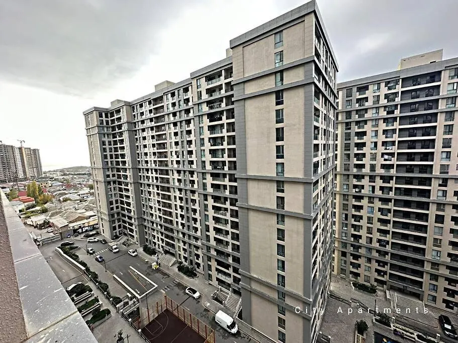 Grey Suite Apartment バクー